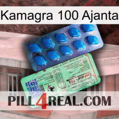 Kamagra 100 Ajanta new02